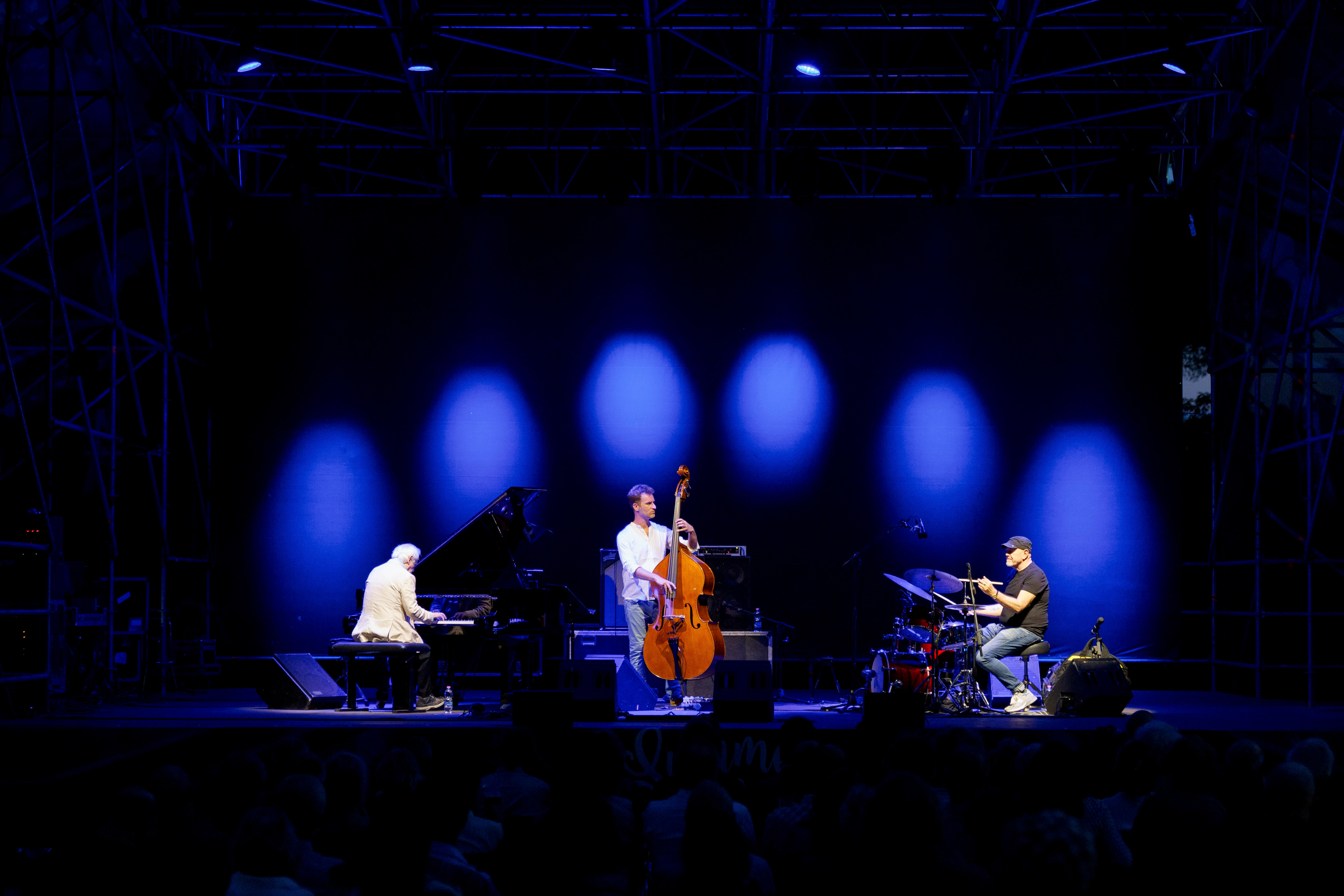 Franco_D_ANDREA_TRIO_002